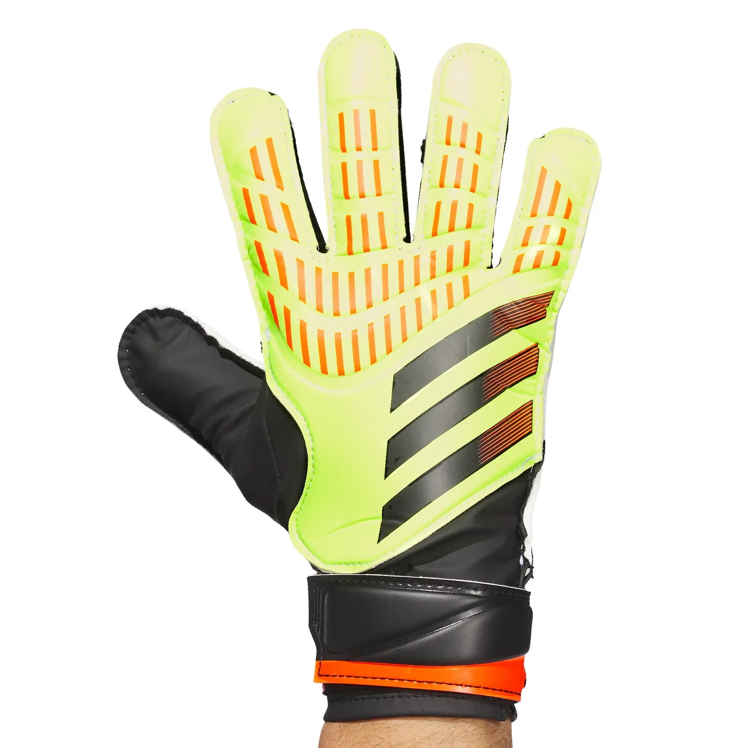 adidas Predator Training