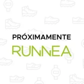 Brooks Ricochet 4