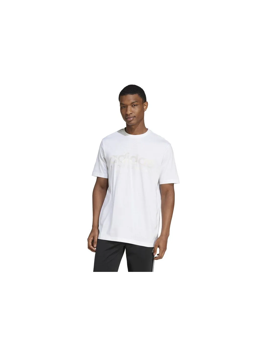 Camiseta adidas House Of Tiro Summer Linear Graphic Hombre Blanco