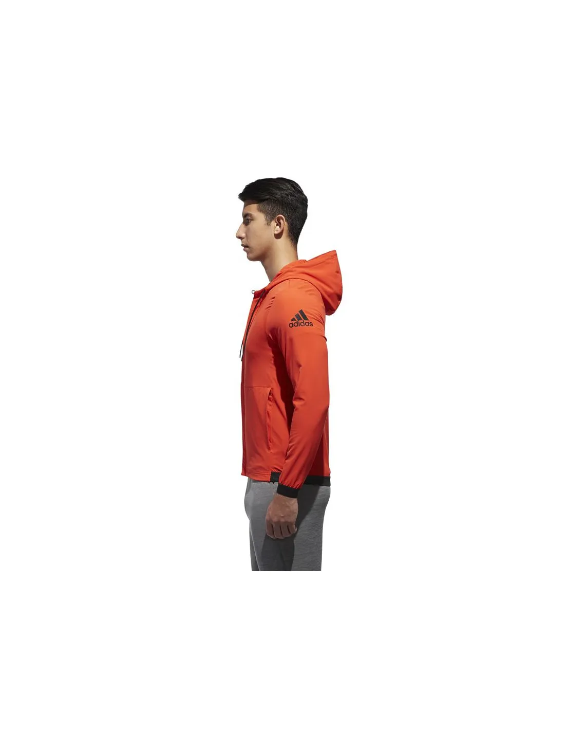 Chaqueta adidas Training