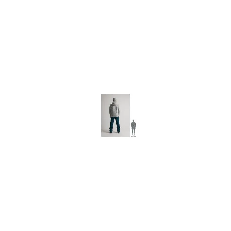 Chaqueta con capucha para hombre Scott Insuloft Superlight PL (gris claro)