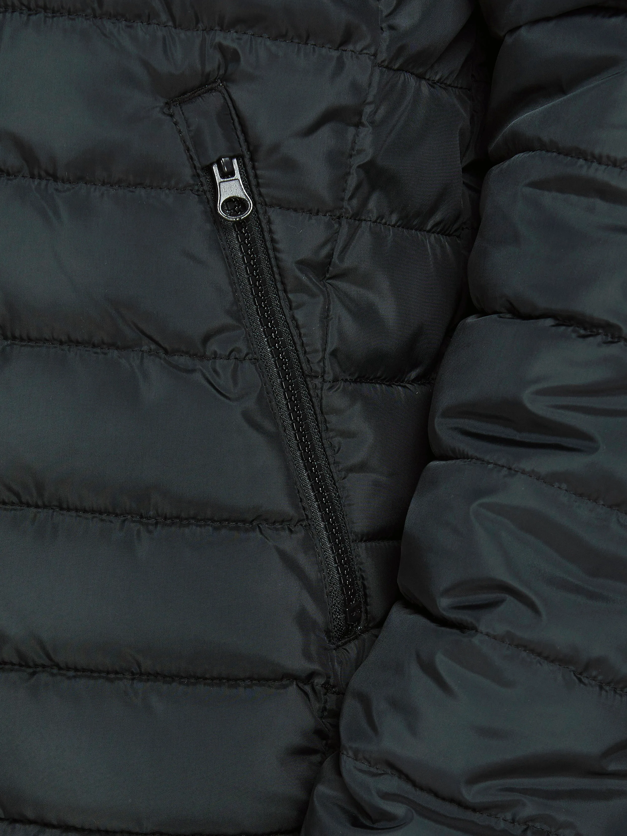 Chaqueta corta acolchada | Negro | Jack & Jones®