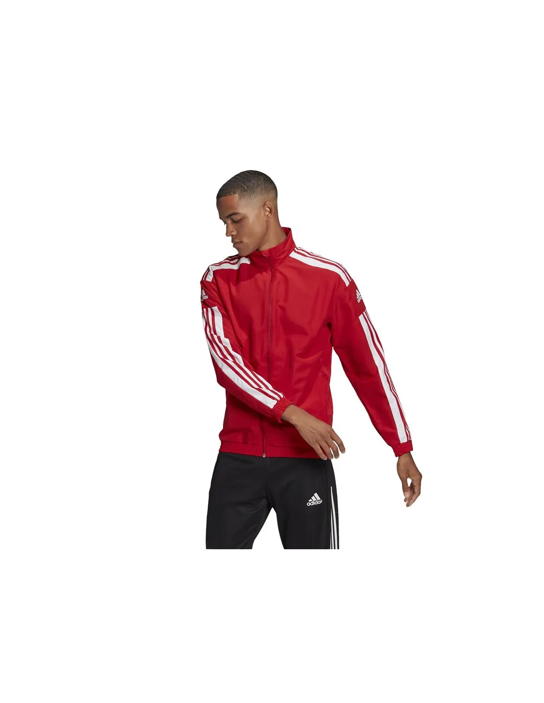 Chaqueta de fútbol adidas Presentación Squadra 21 M Red