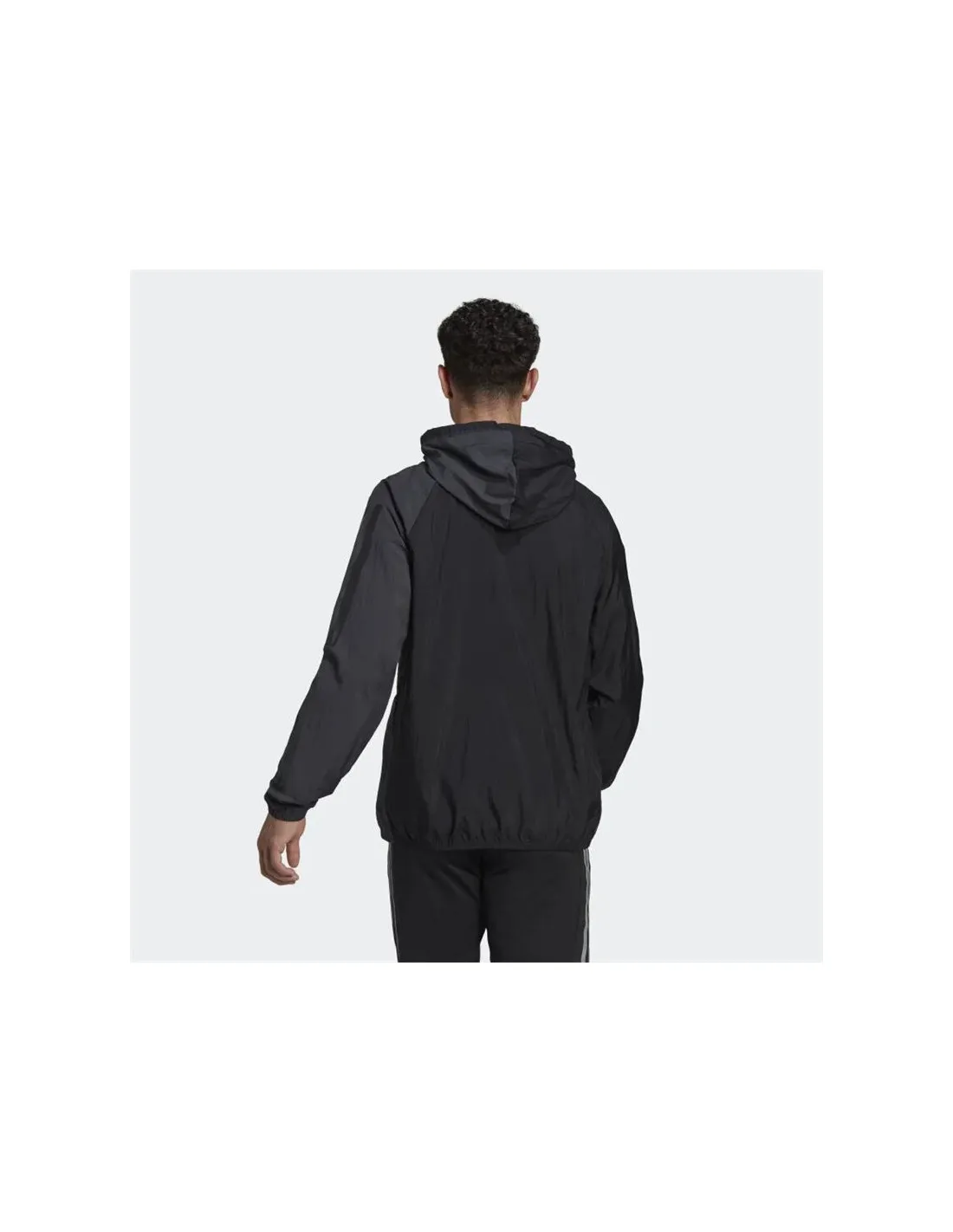 Chaqueta de training adidas Colorblock Hombre BK