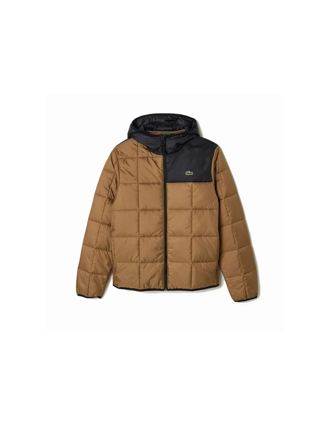 Chaqueta Lacoste Blouson Hombre Marrón