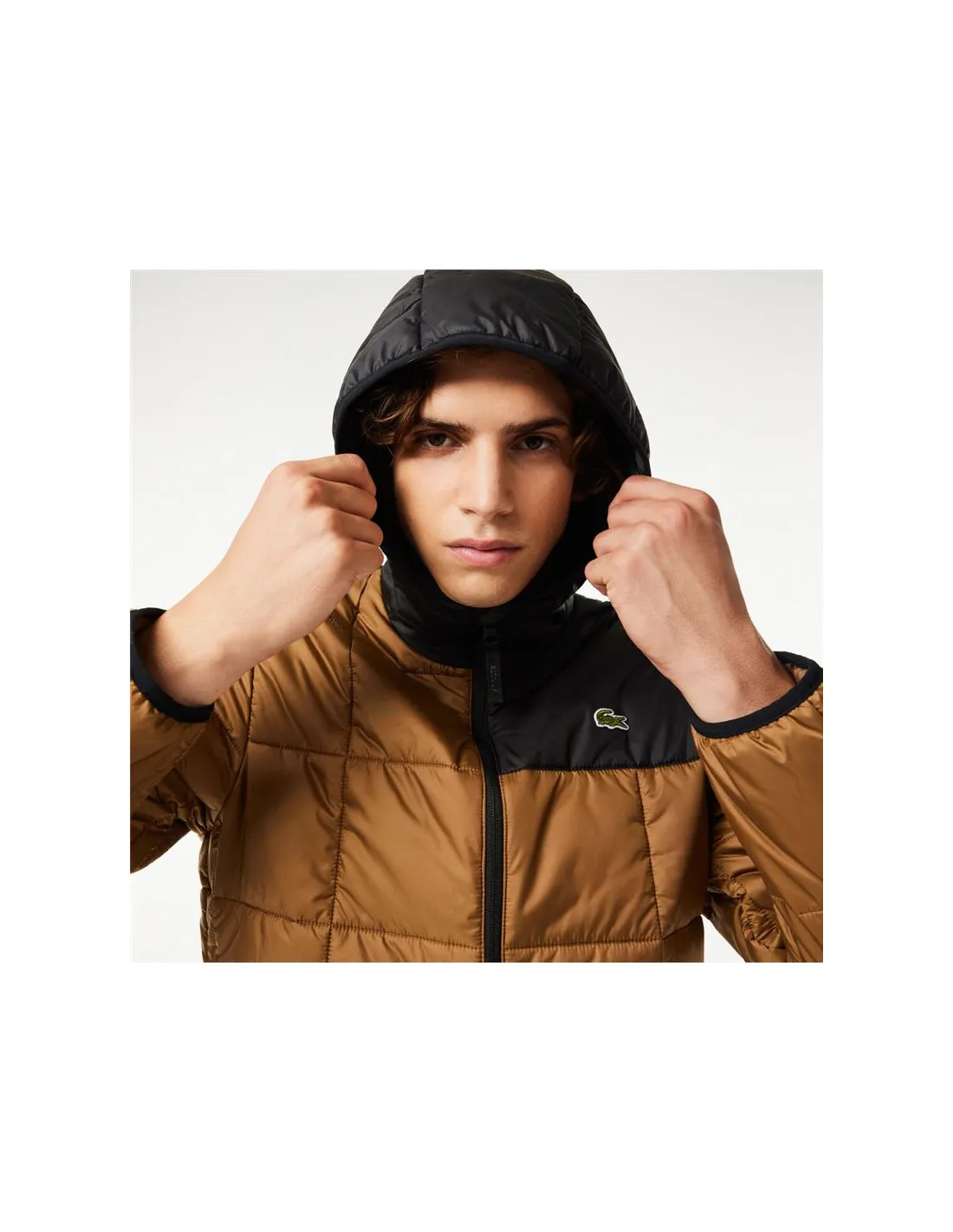 Chaqueta Lacoste Blouson Hombre Marrón