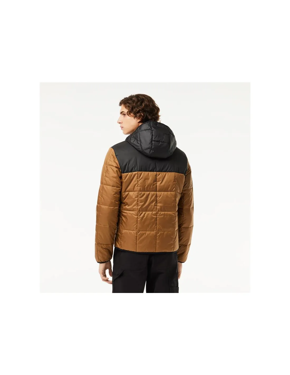Chaqueta Lacoste Blouson Hombre Marrón