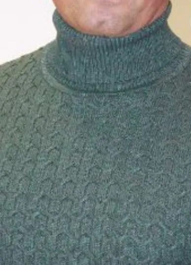 JERSEY DE CUELLO CISNE APPROACH 3566 VERDE