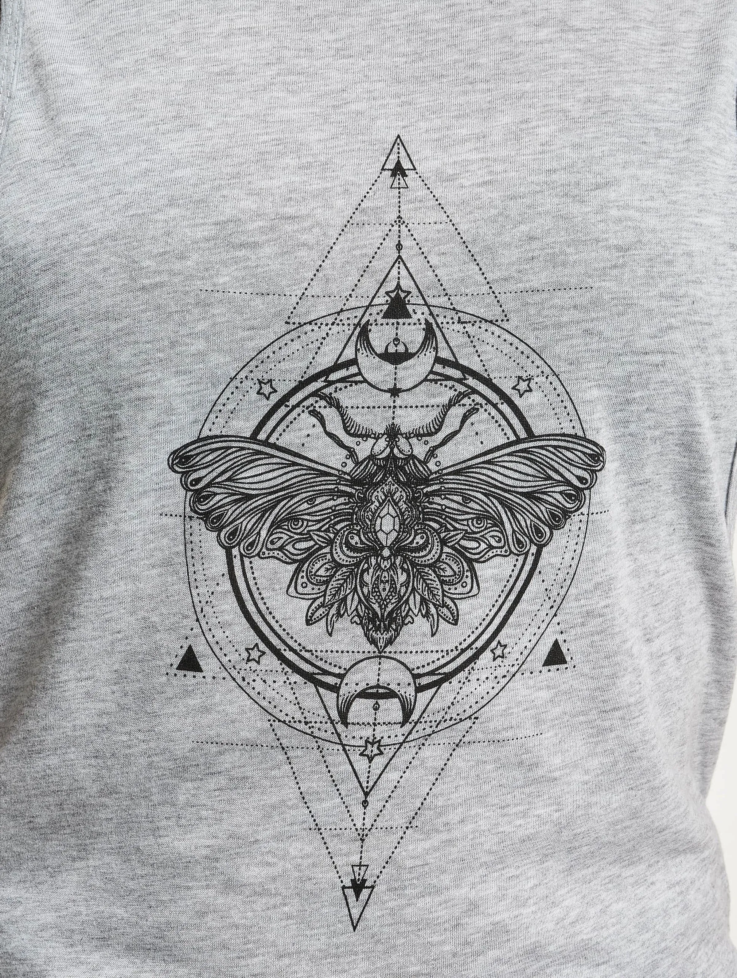 Ladies Moth 