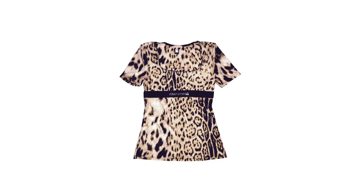 Roberto Cavalli Tops Estampado de leopardo 