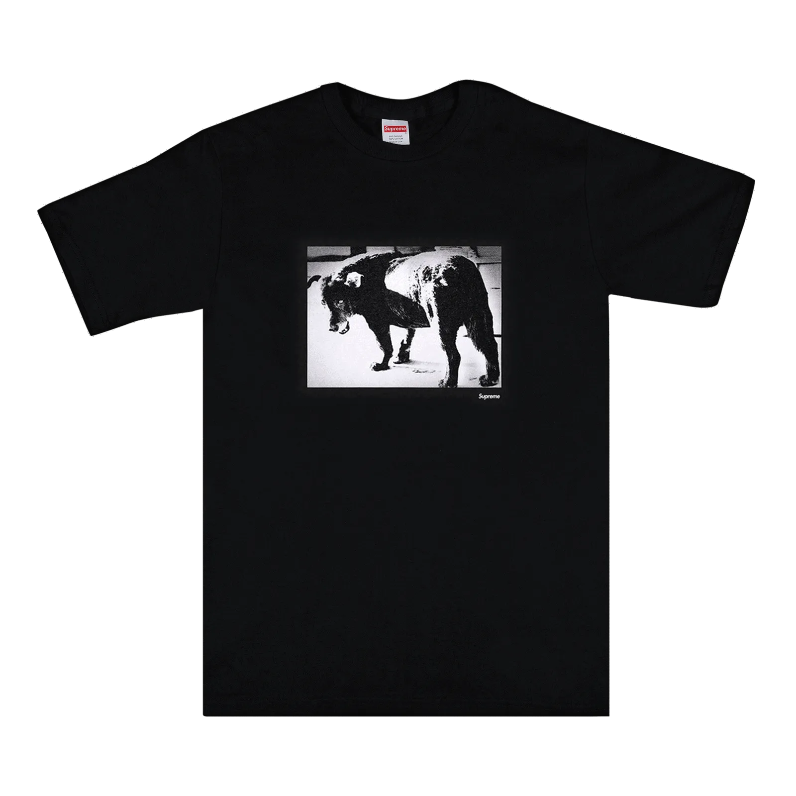 Supreme Daid_ Moriyama Dog Tee