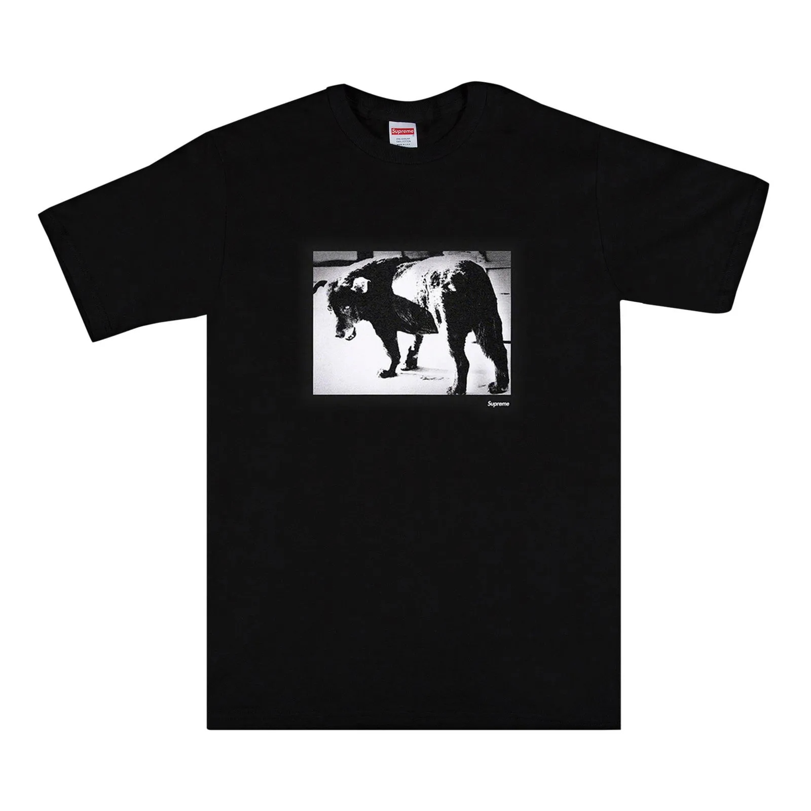 Supreme Daid_ Moriyama Dog Tee